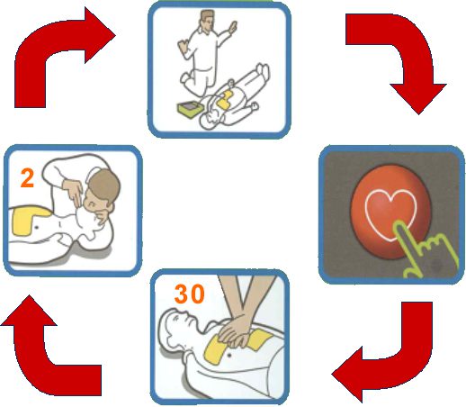 CICLO RCP